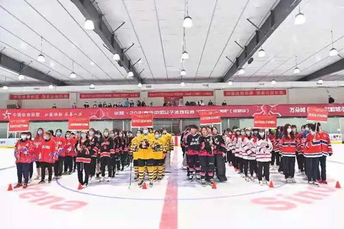中國女子冰球聯(lián)賽培養(yǎng)人才帶動市場