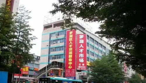 不管英雄草莽,都去過深圳人才大市場