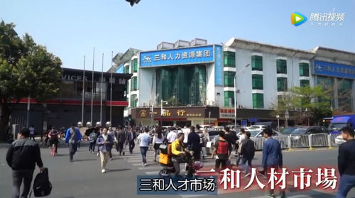 這些不可見光的畫面,只能深夜偷看 深圳