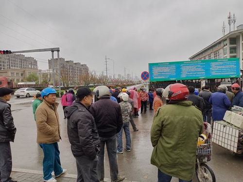 豐縣有這樣一群人,無論刮風(fēng)下雨,每天6點(diǎn)多就來到人才市場門口