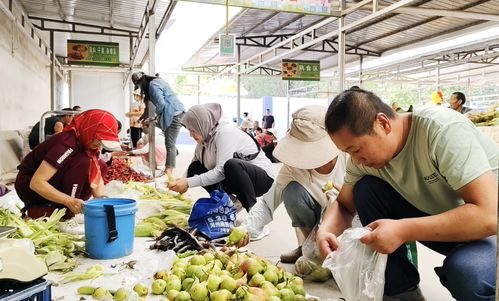 從菜地直通餐桌 金川區(qū)庭院農(nóng)產(chǎn)品成了市場(chǎng)搶手貨鳳凰網(wǎng)甘肅 鳳凰網(wǎng)