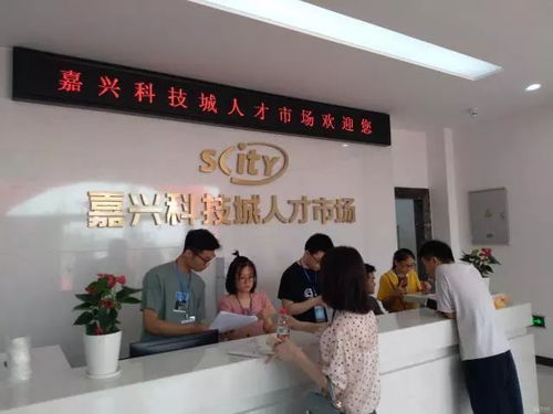 嘉興首個大學(xué)生人才市場開業(yè) 找工作的大學(xué)生可去看看