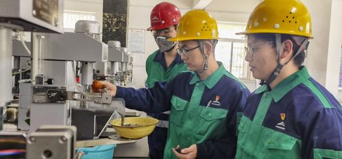 營(yíng)造 百花齊放 生態(tài) 金川集團(tuán)選礦廠人才塑培走 新 了鳳凰網(wǎng)甘肅 鳳凰網(wǎng)