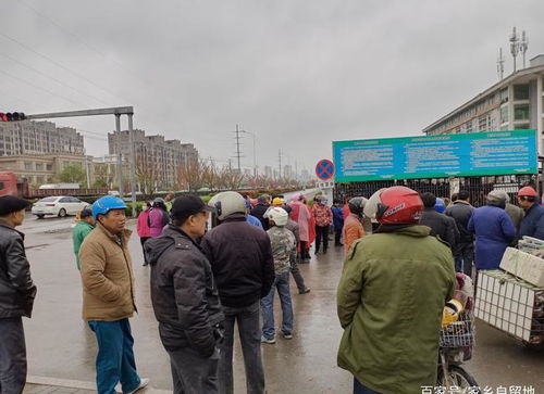 豐縣有這樣一群人,無論刮風(fēng)下雨,每天6點(diǎn)多就來到人才市場(chǎng)門口