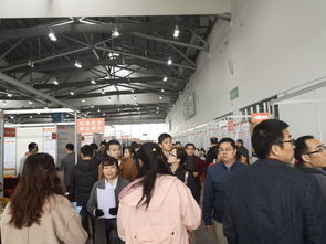 節(jié)后就業(yè)市場(chǎng)供需兩旺,國(guó)際人才網(wǎng)2019春季招聘會(huì)吸引近2萬人進(jìn)場(chǎng)求職