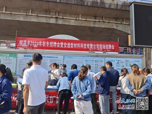 臨川區(qū)桐源鄉(xiāng)開展2024年秋冬招聘會(huì)暨安通新材料科技現(xiàn)場招聘會(huì) 圖