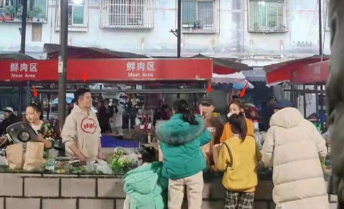 佟麗婭與眾藝人到菜場(chǎng)賣桔子,秒變 水果西施 ,笑容甜美氣質(zhì)佳