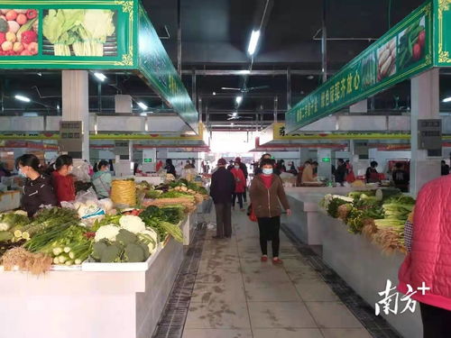 惠城汝湖鎮(zhèn)仍圖市場換新顏,惠州駐鎮(zhèn)幫鎮(zhèn)扶村工作添新彩