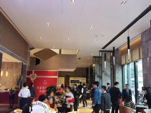 1字頭 上車千燈湖 佛山樓市新政落地,人才搶住廣佛cbd