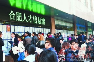 2018年合肥人才信息港全面升級