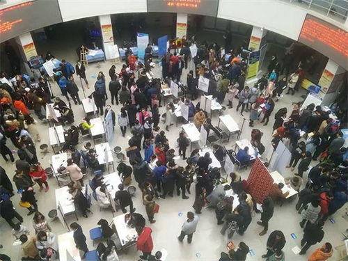 18年河南一公司全是美女,都開奔馳與寶馬,民警一查真相不堪入目