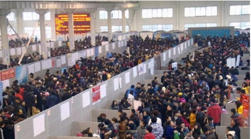 2020應(yīng)屆生就業(yè)太難了 還沒找到工作的他做了這個(gè)選擇