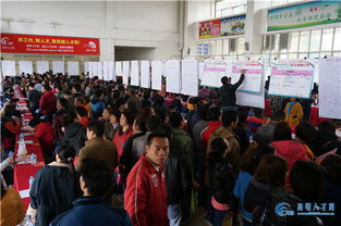 3月4日追日人才市場(chǎng)招聘會(huì)精彩現(xiàn)場(chǎng)回顧