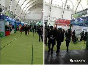 2018東北畜牧業(yè)名優(yōu)產(chǎn)品展,牧通人才網(wǎng)在3號(hào)館等你來撩