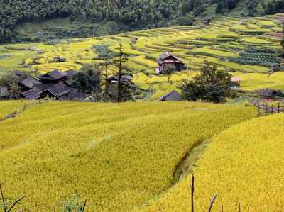 2024年3月綏寧縣景點(diǎn)攻略-綏寧縣旅游必去景點(diǎn)-綏寧縣景點(diǎn)大全-貓途鷹