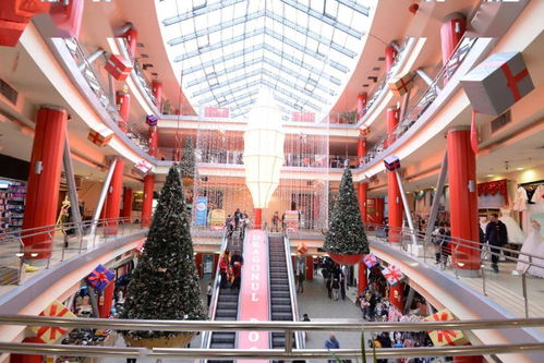 羅馬尼亞 疫情肆虐非常時 華人小區(qū)見愛心