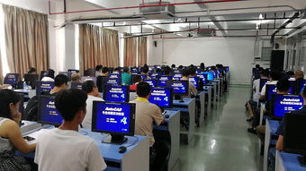 工作動態(tài) 江門市人民政府門戶網(wǎng)站