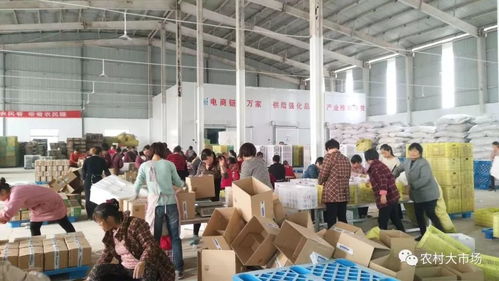 明日劇透 農(nóng)產(chǎn)品供應(yīng)鏈連起小農(nóng)戶和大市場