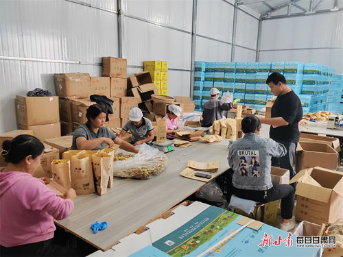 康縣 土 味農(nóng)產(chǎn)品走俏年貨市場