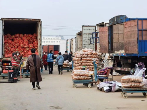 探訪北京新發(fā)地市場 農(nóng)產(chǎn)品供應(yīng)充足,價(jià)格穩(wěn)中有降