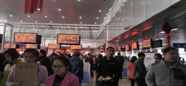 5月29日工信廳 教育廳聯(lián)合舉辦畢業(yè)生就業(yè)對(duì)接會(huì)