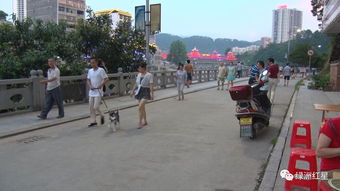 新鮮事 綏寧這家沒有營業(yè)員的小超市也能賺錢,竟然還開了分店