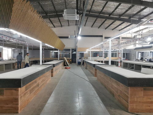 豬豬住公寓 ,為答好民生答卷,常熟真的拼