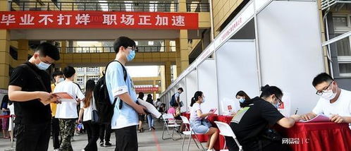 揭開遮羞布, 211高校計(jì)算機(jī)畢業(yè)生就業(yè)引關(guān)注, 本科生僅42人就業(yè)