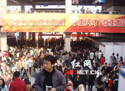 3萬高校畢業(yè)生搶5000崗位 求職狀況不容樂觀