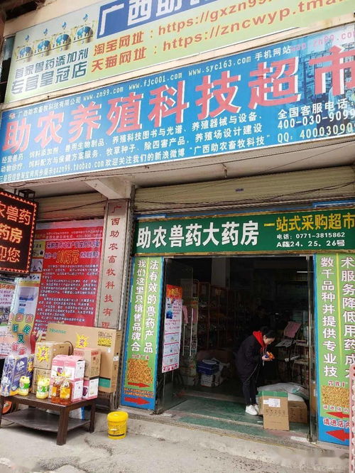 產(chǎn)康 30 林可霉素注射液 母豬產(chǎn)前產(chǎn)后效果非常好的保健藥品