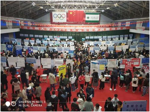 我校優(yōu)秀窗口單位展示 招生就業(yè)處