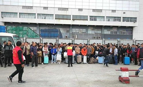 這位女秘書 稅前年薪已高達850萬,被稱為金牌董秘