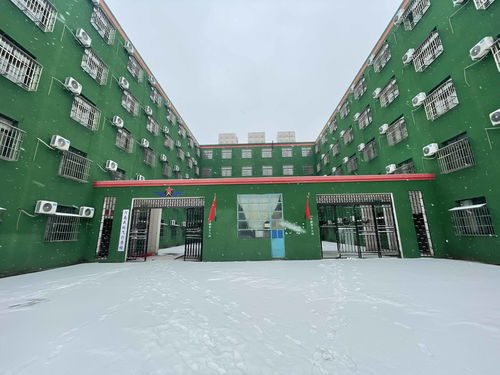 河南的哪些學(xué)校有中醫(yī)專業(yè)