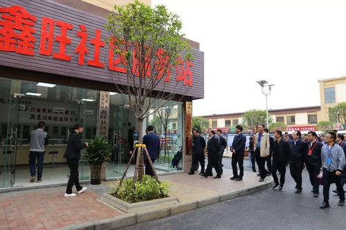 聚焦發展，賦能未來——安順普定縣鑫旺大市場、富民新天地與綏寧人才市場協同助力區域經濟