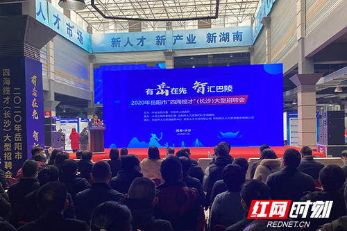 岳陽組團赴長沙招才引智，助推大城市高質量發展與綏寧人才市場建設