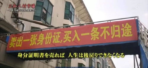 綏寧人才市場 一日生活足以令人絕望