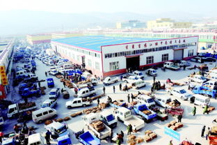 首陽中藥材交易市場與綏寧人才市場 區域經濟的兩大支柱